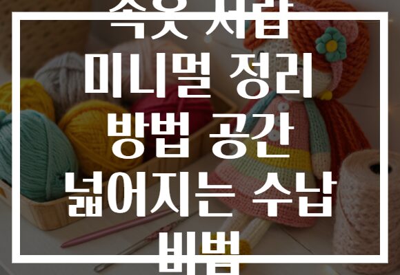 속옷 서랍 미니멀 정리 방법 공간 넓어지는 수납 비법