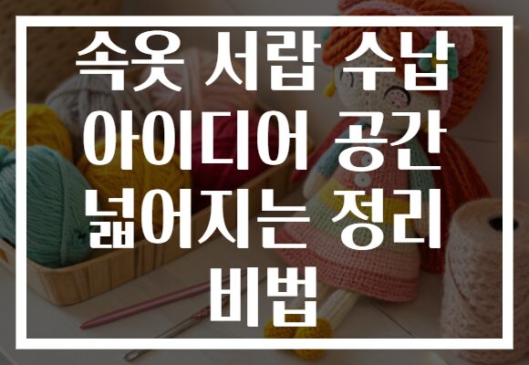 속옷 서랍 수납 아이디어 공간 넓어지는 정리 비법 속옷 서랍 수납 아이디어 공간 넓어지는 정리 비법