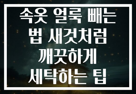 속옷 얼룩 빼는 법 새것처럼 깨끗하게 세탁하는 팁 속옷 얼룩 빼는 법 새것처럼 깨끗하게 세탁하는 팁