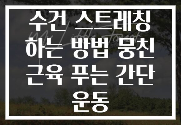 수건 스트레칭 하는 방법 뭉친 근육 푸는 간단 운동