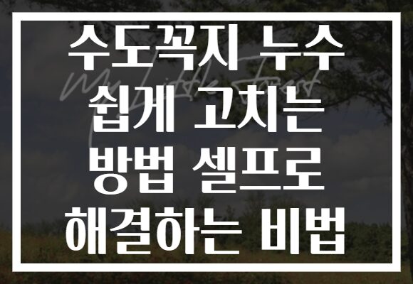 수도꼭지 누수 쉽게 고치는 방법 셀프로 해결하는 비법