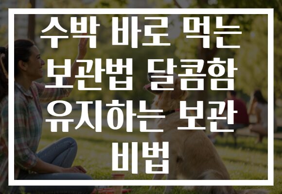 수박 바로 먹는 보관법 달콤함 유지하는 보관 비법