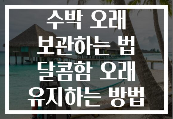 수박 오래 보관하는 법 달콤함 오래 유지하는 방법 수박 오래 보관하는 법 달콤함 오래 유지하는 방법