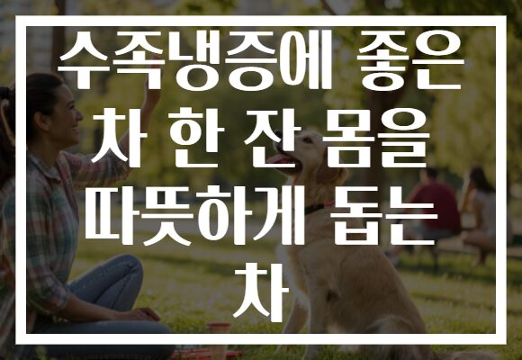 수족냉증에 좋은 차 한 잔 몸을 따뜻하게 돕는 차