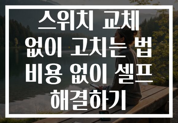 스위치 교체 없이 고치는 법 비용 없이 셀프 해결하기 스위치 교체 없이 고치는 법 비용 없이 셀프 해결하기