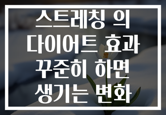 스트레칭 의 다이어트 효과 꾸준히 하면 생기는 변화 스트레칭 의 다이어트 효과 꾸준히 하면 생기는 변화