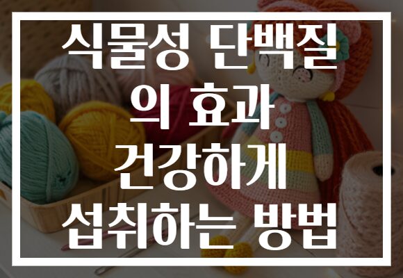 식물성 단백질 의 효과 건강하게 섭취하는 방법 식물성 단백질 의 효과 건강하게 섭취하는 방법