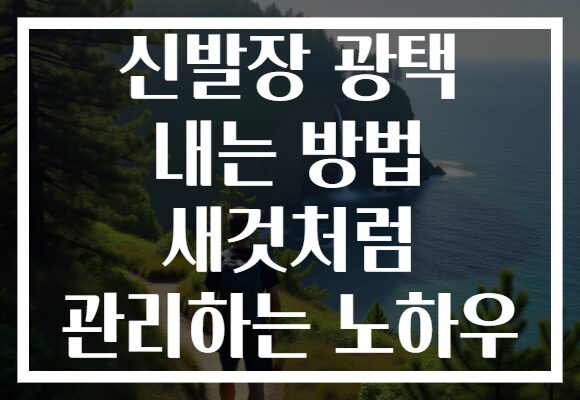 신발장 광택 내는 방법 새것처럼 관리하는 노하우 신발장 광택 내는 방법 새것처럼 관리하는 노하우