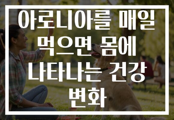 아로니아를 매일 먹으면 몸에 나타나는 건강 변화