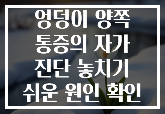 엉덩이 양쪽 통증의 자가 진단 놓치기 쉬운 원인 확인 엉덩이 양쪽 통증의 자가 진단 놓치기 쉬운 원인 확인