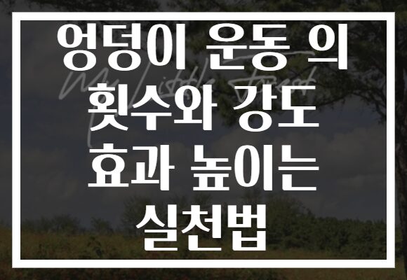 엉덩이 운동 의 횟수와 강도 효과 높이는 실천법 엉덩이 운동 의 횟수와 강도 효과 높이는 실천법