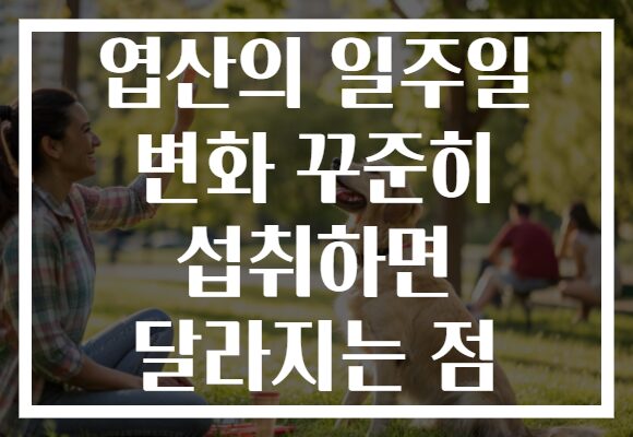 엽산의 일주일 변화 꾸준히 섭취하면 달라지는 점