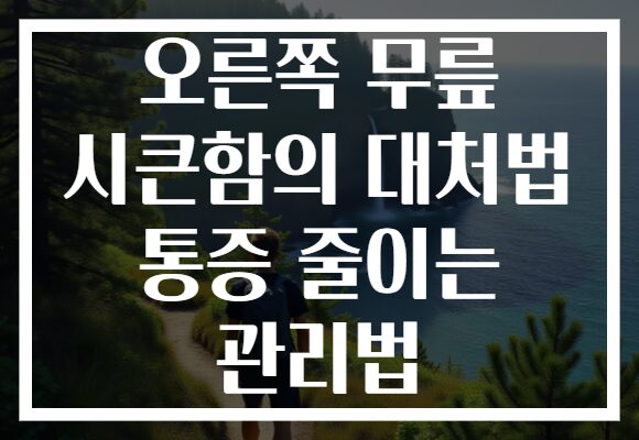 오른쪽 무릎 시큰함의 대처법 통증 줄이는 관리법 오른쪽 무릎 시큰함의 대처법 통증 줄이는 관리법