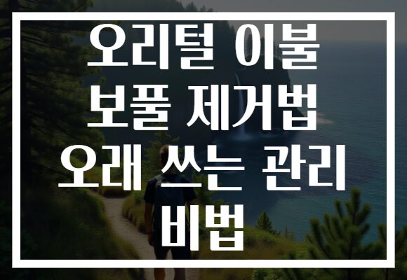 오리털 이불 보풀 제거법 오래 쓰는 관리 비법 오리털 이불 보풀 제거법 오래 쓰는 관리 비법