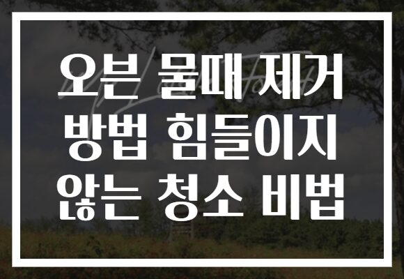 오븐 물때 제거 방법 힘들이지 않는 청소 비법