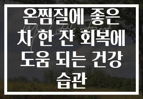 온찜질에 좋은 차 한 잔 회복에 도움 되는 건강 습관 온찜질에 좋은 차 한 잔 회복에 도움 되는 건강 습관