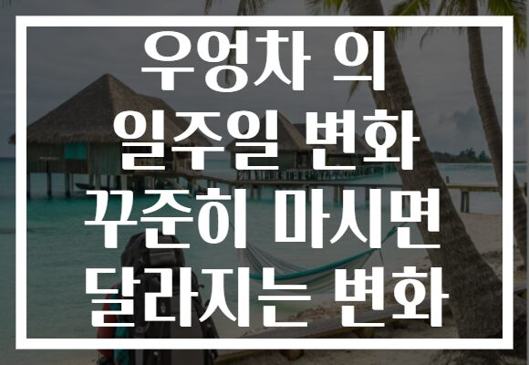 우엉차 의 일주일 변화 꾸준히 마시면 달라지는 변화