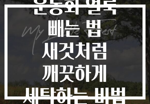 운동화 얼룩 빼는 법 새것처럼 깨끗하게 세탁하는 비법 운동화 얼룩 빼는 법 새것처럼 깨끗하게 세탁하는 비법