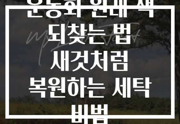 운동화 원래 색 되찾는 법 새것처럼 복원하는 세탁 비법