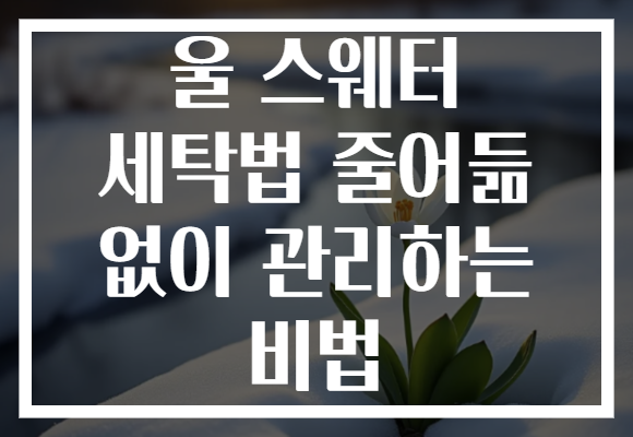 울 스웨터 세탁법 줄어듦 없이 관리하는 비법