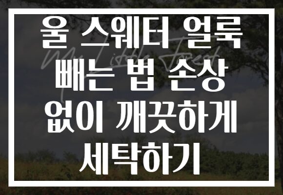 울 스웨터 얼룩 빼는 법 손상 없이 깨끗하게 세탁하기 울 스웨터 얼룩 빼는 법 손상 없이 깨끗하게 세탁하기