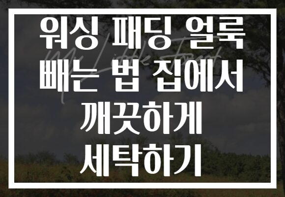 워싱 패딩 얼룩 빼는 법 집에서 깨끗하게 세탁하기