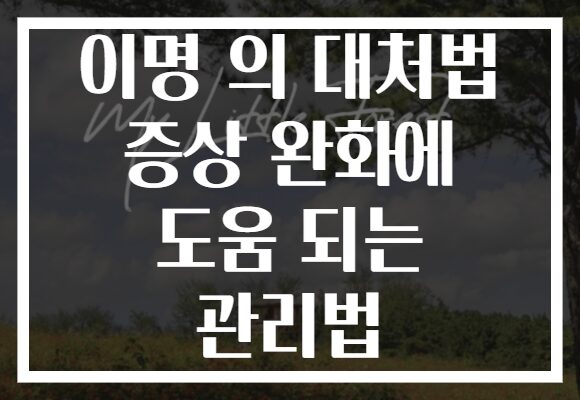 이명 의 대처법 증상 완화에 도움 되는 관리법 이명 의 대처법 증상 완화에 도움 되는 관리법