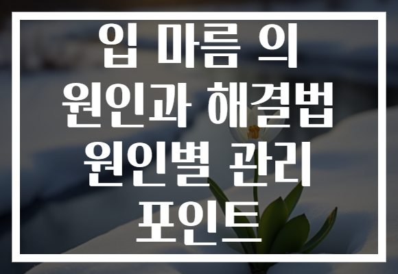 입 마름 의 원인과 해결법 원인별 관리 포인트