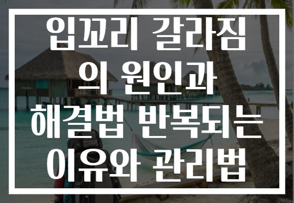 입꼬리 갈라짐 의 원인과 해결법 반복되는 이유와 관리법