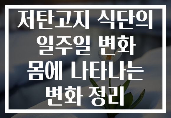 저탄고지 식단의 일주일 변화 몸에 나타나는 변화 정리