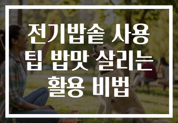 전기밥솥 사용 팁 밥맛 살리는 활용 비법