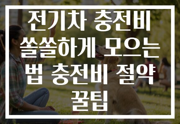 전기차 충전비 쏠쏠하게 모으는 법 충전비 절약 꿀팁