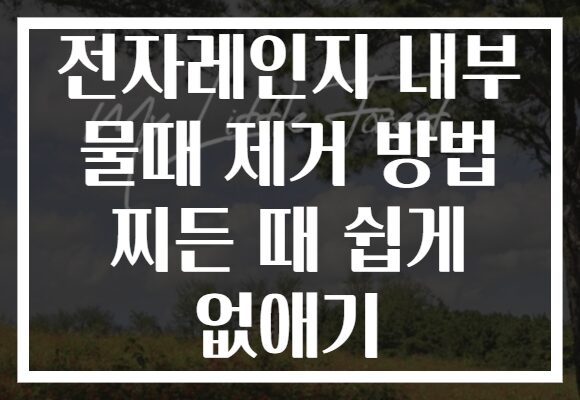 전자레인지 내부 물때 제거 방법 찌든 때 쉽게 없애기