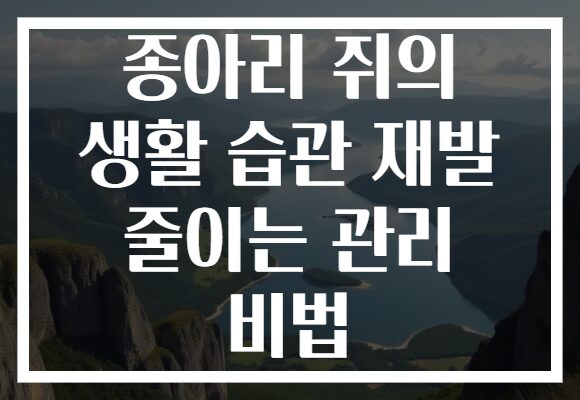 종아리 쥐의 생활 습관 재발 줄이는 관리 비법 종아리 쥐의 생활 습관 재발 줄이는 관리 비법