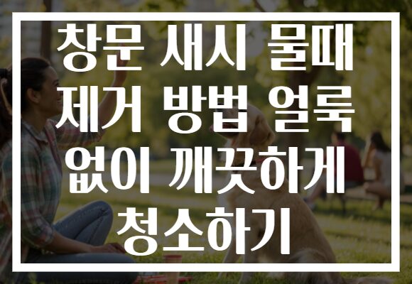창문 새시 물때 제거 방법 얼룩 없이 깨끗하게 청소하기 창문 새시 물때 제거 방법 얼룩 없이 깨끗하게 청소하기