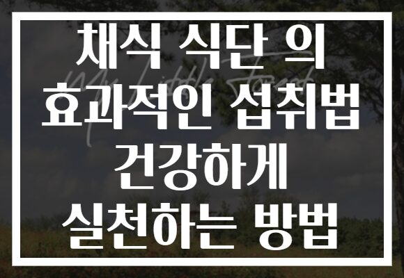 채식 식단 의 효과적인 섭취법 건강하게 실천하는 방법