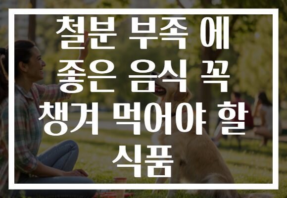 철분 부족 에 좋은 음식 꼭 챙겨 먹어야 할 식품