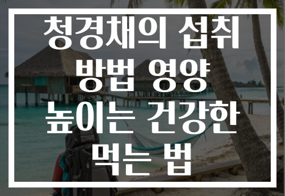 청경채의 섭취 방법 영양 높이는 건강한 먹는 법 청경채의 섭취 방법 영양 높이는 건강한 먹는 법