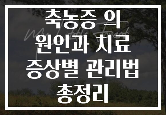 축농증 의 원인과 치료 증상별 관리법 총정리 축농증 의 원인과 치료 증상별 관리법 총정리