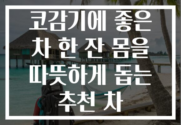 코감기에 좋은 차 한 잔 몸을 따뜻하게 돕는 추천 차 코감기에 좋은 차 한 잔 몸을 따뜻하게 돕는 추천 차