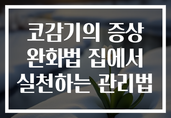 코감기의 증상 완화법 집에서 실천하는 관리법 코감기의 증상 완화법 집에서 실천하는 관리법