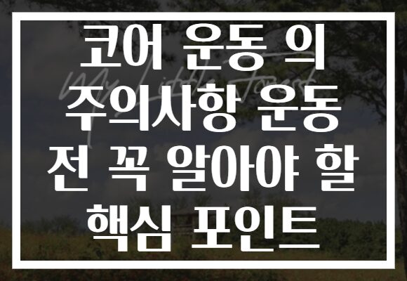 코어 운동 의 주의사항 운동 전 꼭 알아야 할 핵심 포인트 코어 운동 의 주의사항 운동 전 꼭 알아야 할 핵심 포인트