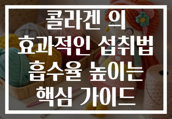 콜라겐 의 효과적인 섭취법 흡수율 높이는 핵심 가이드