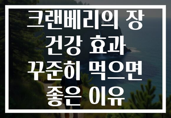 크랜베리의 장 건강 효과 꾸준히 먹으면 좋은 이유