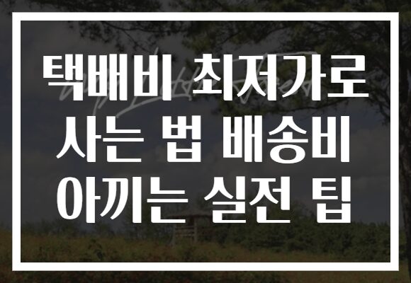 택배비 최저가로 사는 법 배송비 아끼는 실전 팁 택배비 최저가로 사는 법 배송비 아끼는 실전 팁