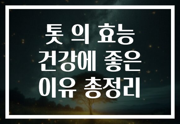 톳 의 효능 건강에 좋은 이유 총정리