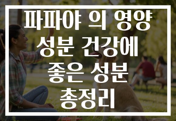 파파야 의 영양 성분 건강에 좋은 성분 총정리 파파야 의 영양 성분 건강에 좋은 성분 총정리