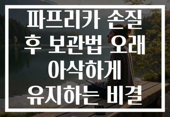 파프리카 손질 후 보관법 오래 아삭하게 유지하는 비결