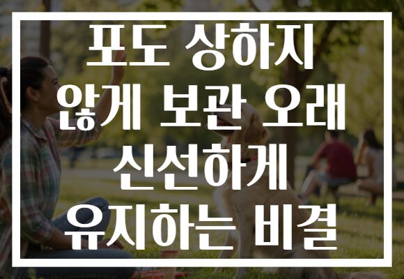 포도 상하지 않게 보관 오래 신선하게 유지하는 비결 포도 상하지 않게 보관 오래 신선하게 유지하는 비결