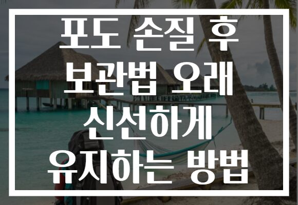 포도 손질 후 보관법 오래 신선하게 유지하는 방법